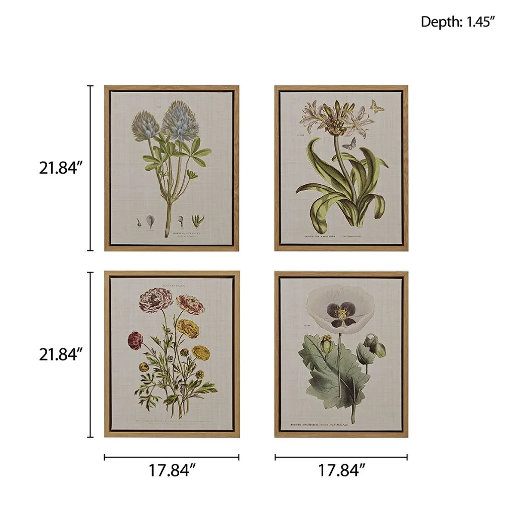 4 Piece Botanical Illustration Framed Canvas Wall Art Set