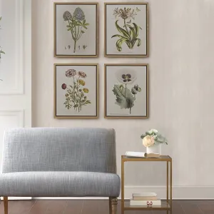 4 Piece Botanical Illustration Framed Canvas Wall Art Set