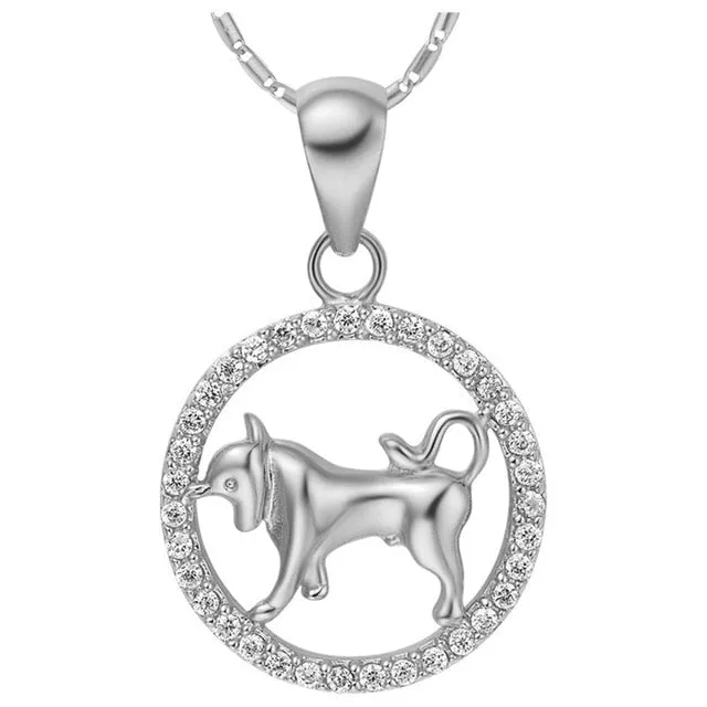 Astrology 12 Horoscope Zodiac Signs Constellation Silver Pendant Necklace