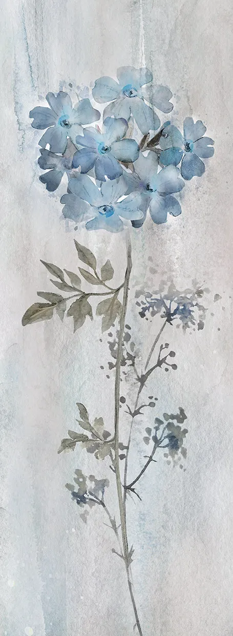 Blue Dream'in I