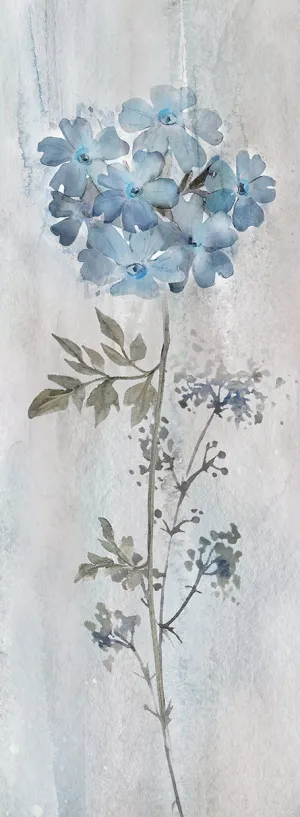 Blue Dream'in I