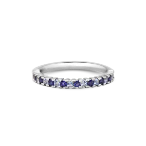 Blue Gingham Band