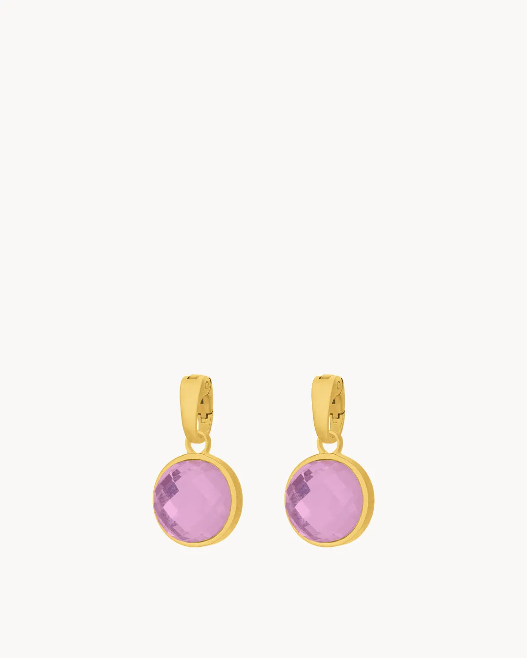 February Devotion Birthstone Signature Earring Pendants