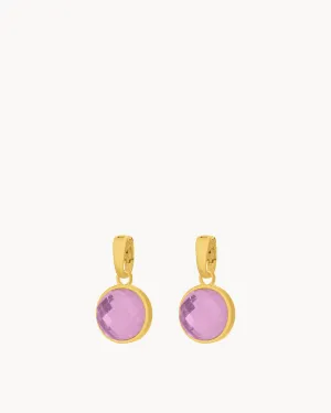 February Devotion Birthstone Signature Earring Pendants