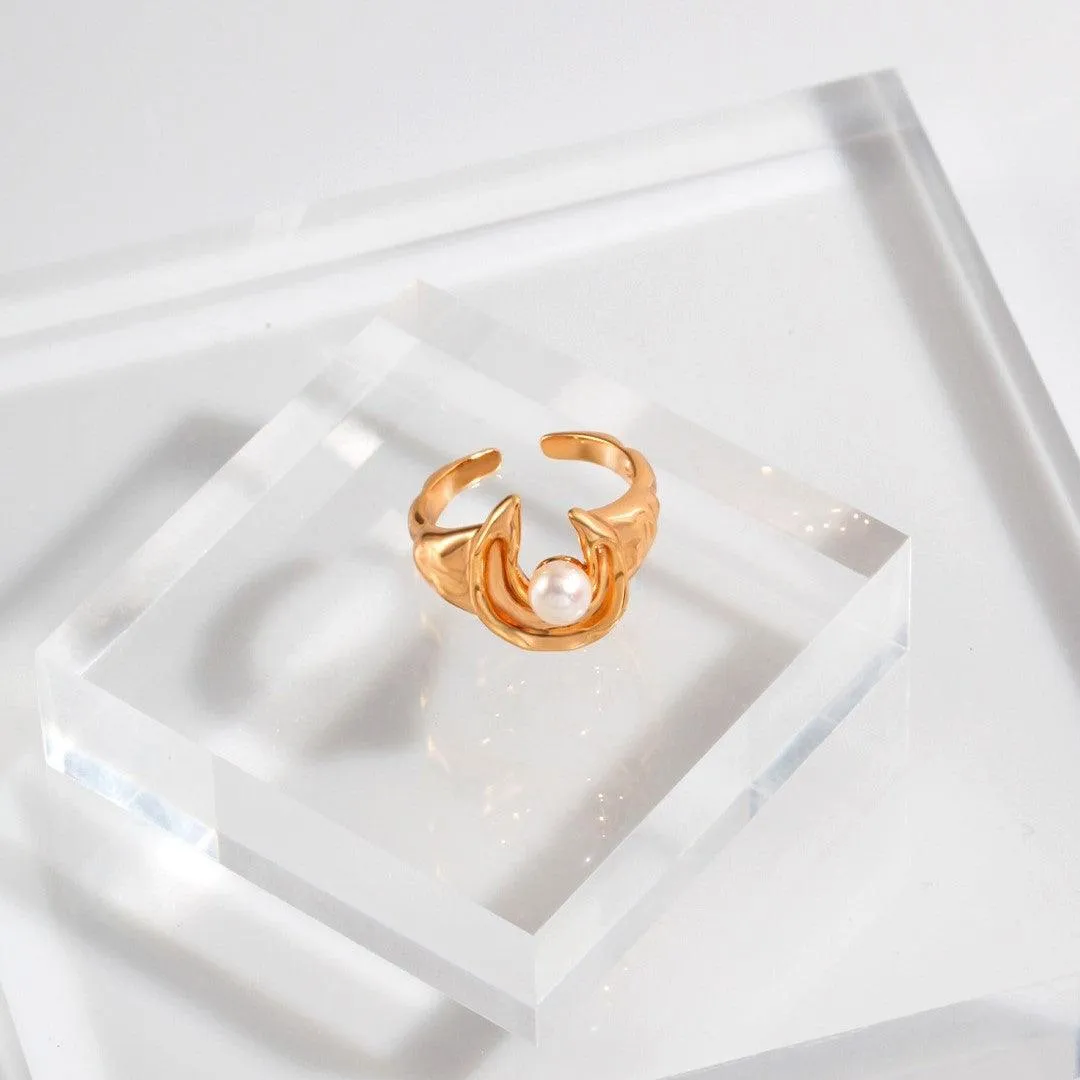 Moon and Star Earrings and Ring set