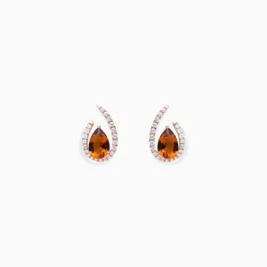 Peculiarly Curved Teardrop Earrings