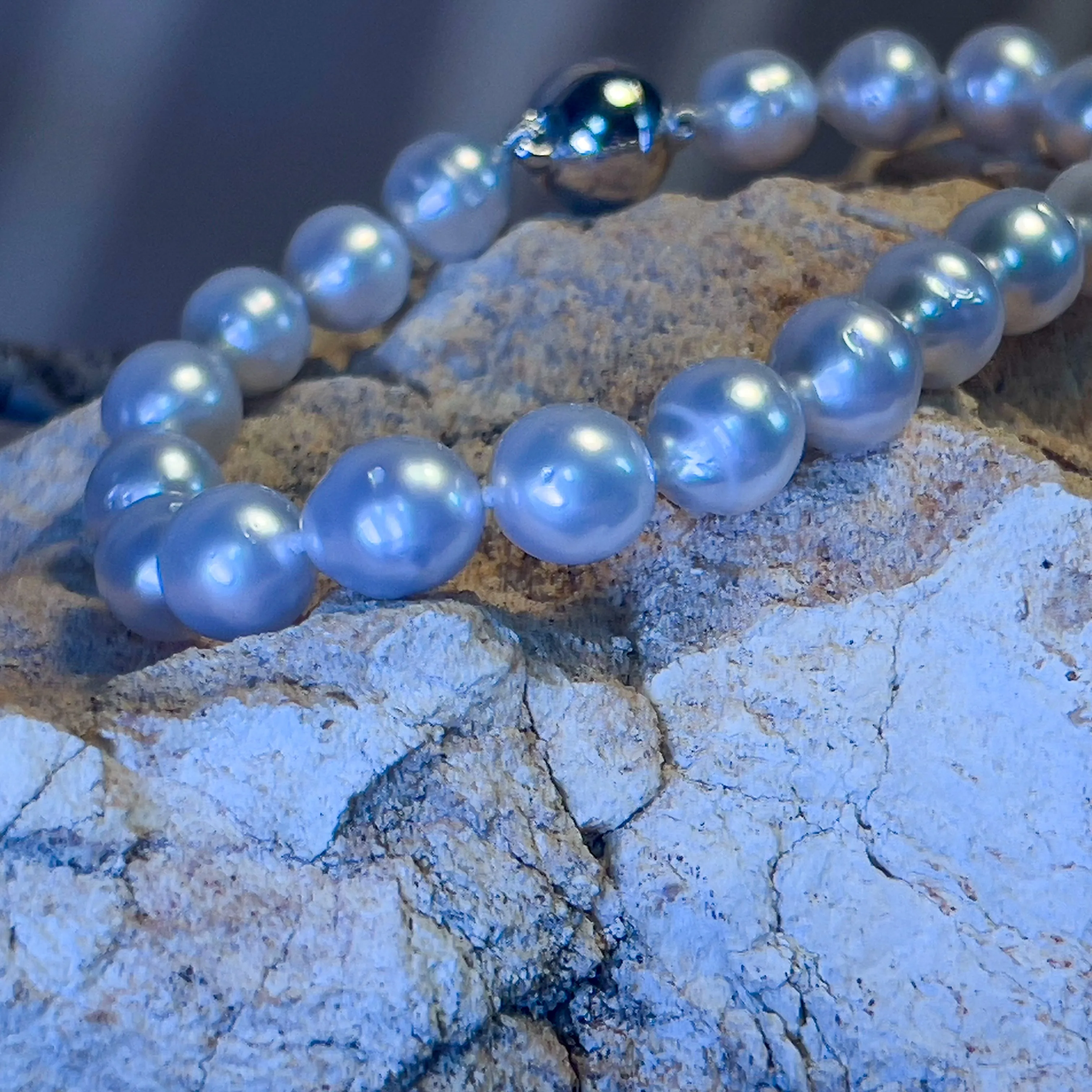 South Sea Pearl bracelet 8-8.5mm silver clasp