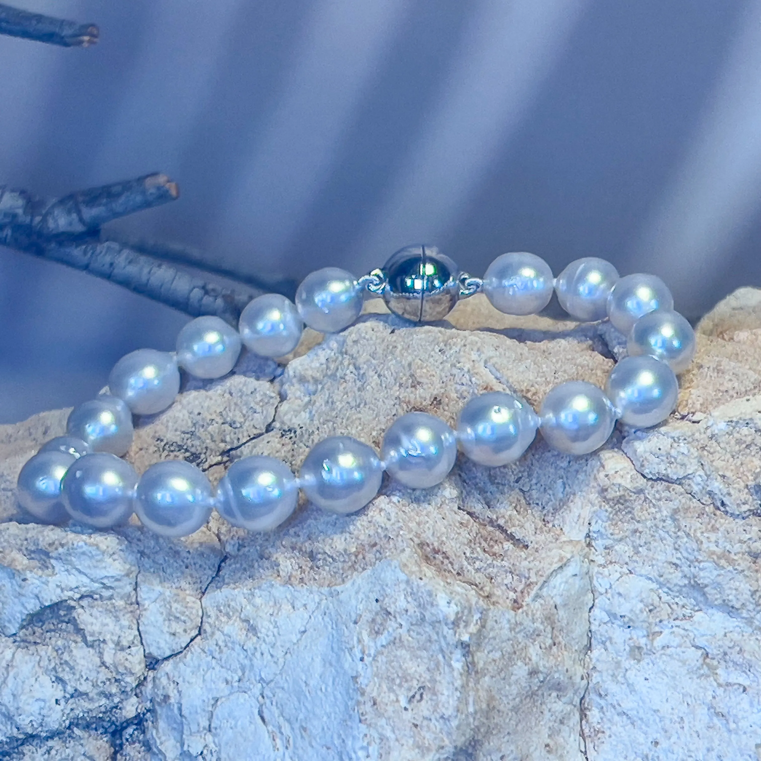 South Sea Pearl bracelet 8-8.5mm silver clasp