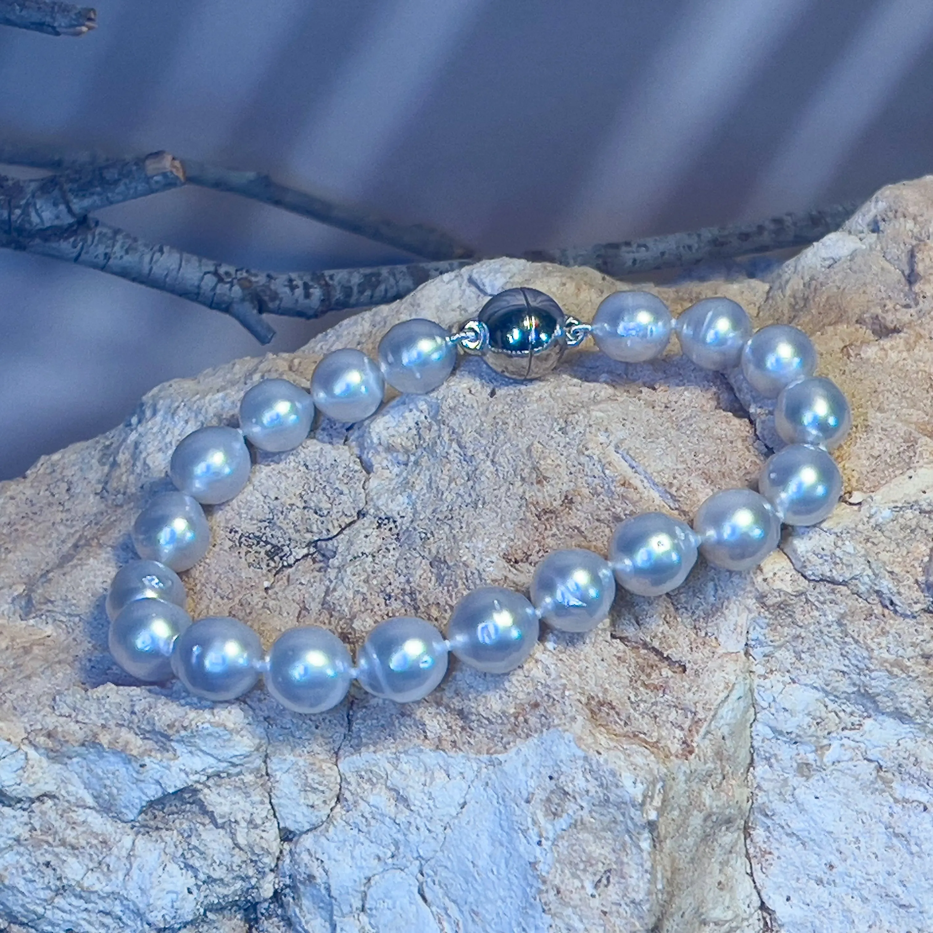 South Sea Pearl bracelet 8-8.5mm silver clasp