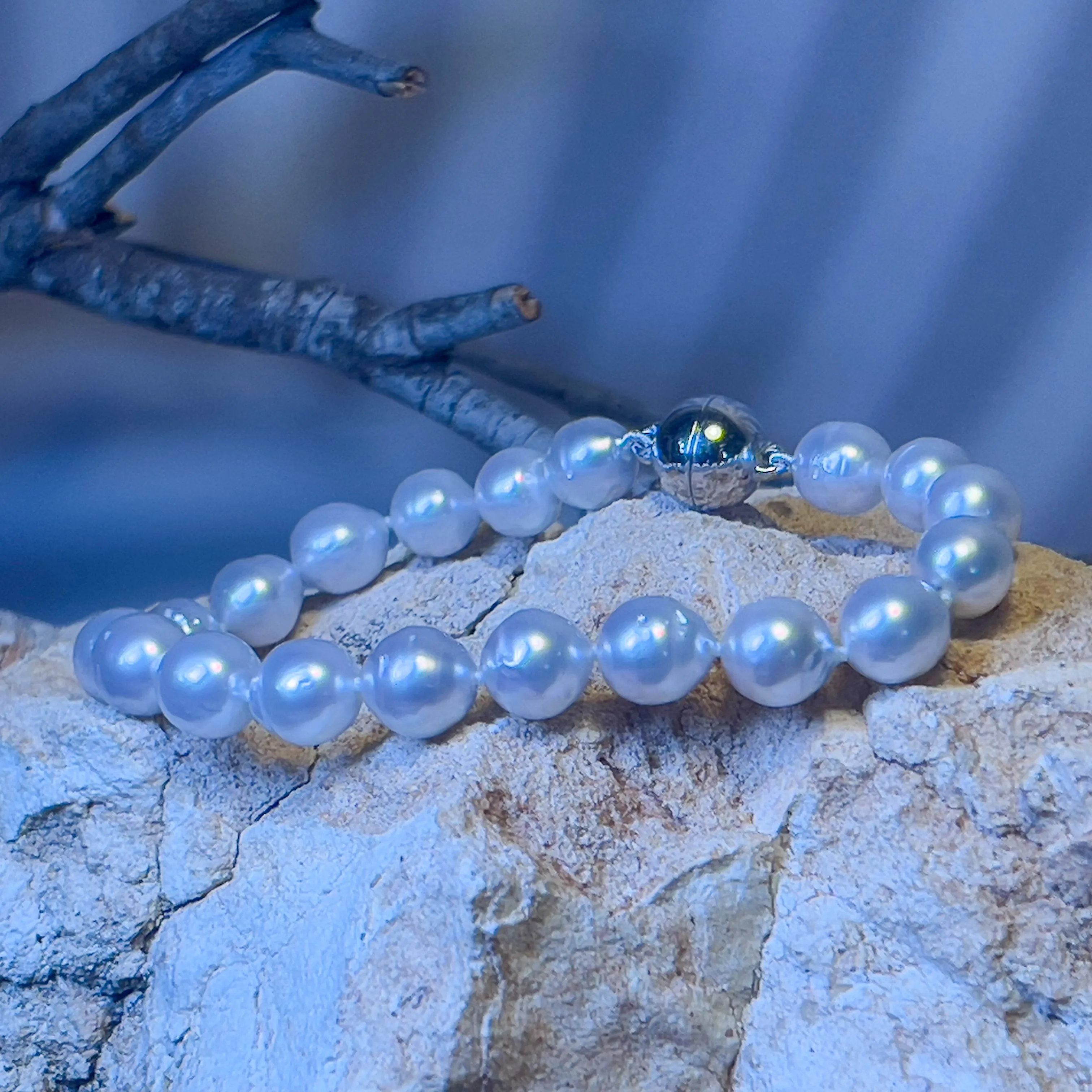 South Sea Pearl bracelet 8-8.5mm silver clasp
